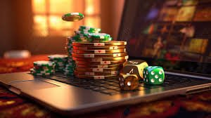 556bet