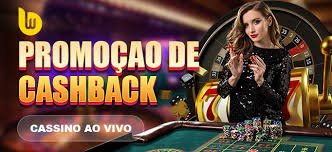 556bet