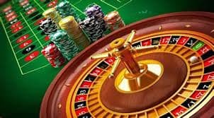 556bet