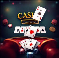 556bet