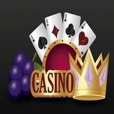 556bet