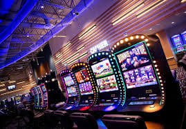 556bet