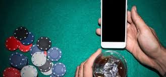 556bet